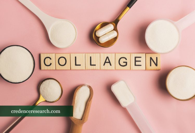 Collagen Tissue Engineering Market Size and Growth Analysis with Trends, Key players & Outlook to 2030