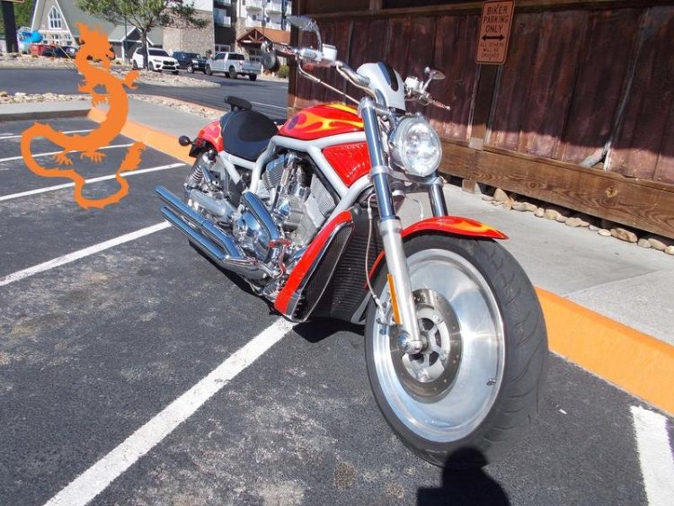 The Rider's Destination  Your Premier Dealership for New and Used Harley-Davidson Motorcycles