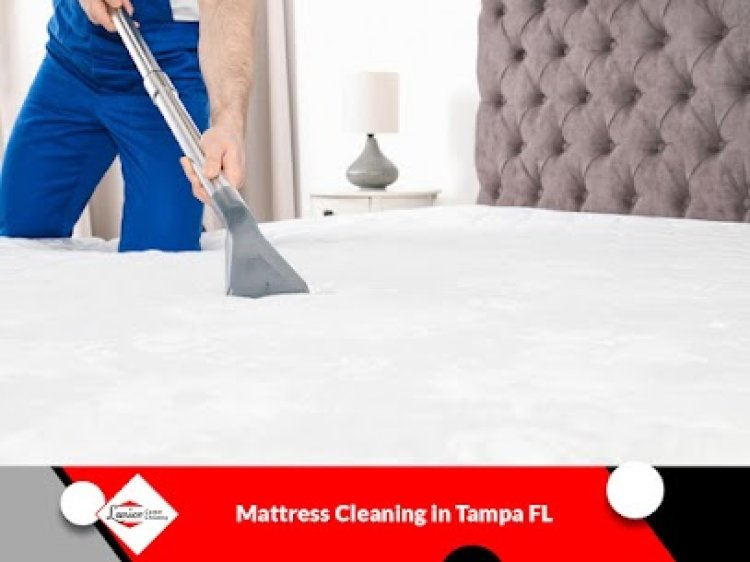 Carpet and Upholstery Cleaning in Tampa FL | Lanior Carpet Cleaning LLC of Tampa