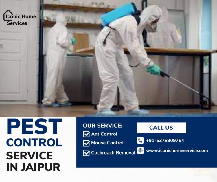 Best Pest Control Services in Jaipur