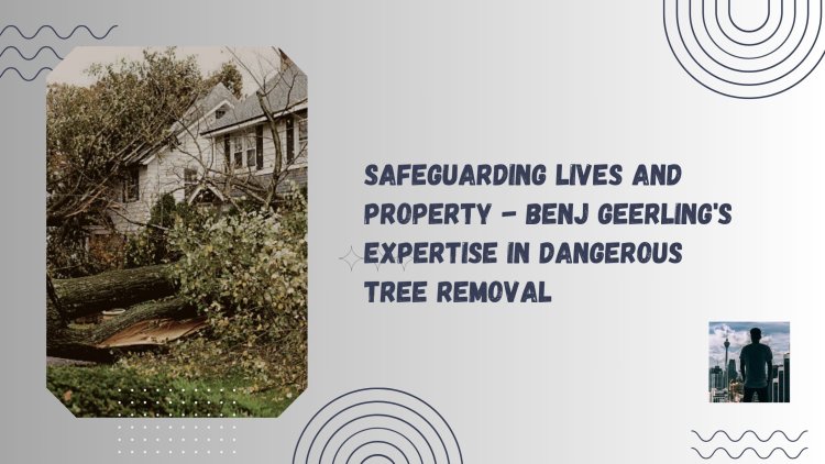 Safeguarding Lives and Property - Benj Geerling's Expertise in Dangerous Tree Removal