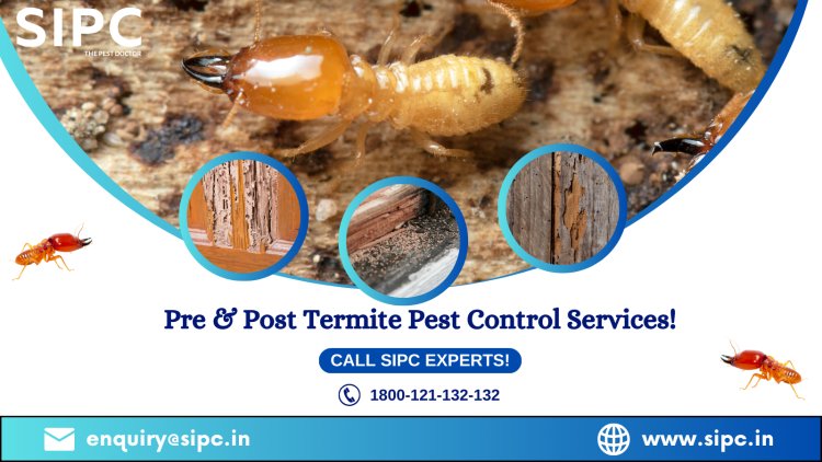 Anti Termite Pest Control in Goa