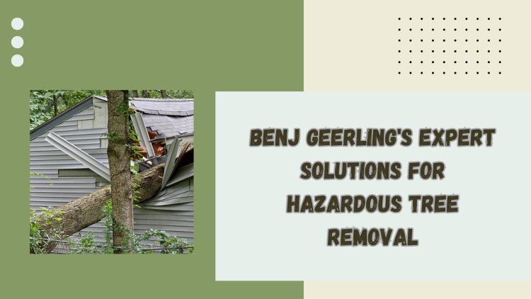 Benj Geerling's Expert Solutions for Hazardous Tree Removal