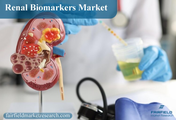 Renal Biomarkers Market Growth Drivers, Trends and Opportunities 2022-2030