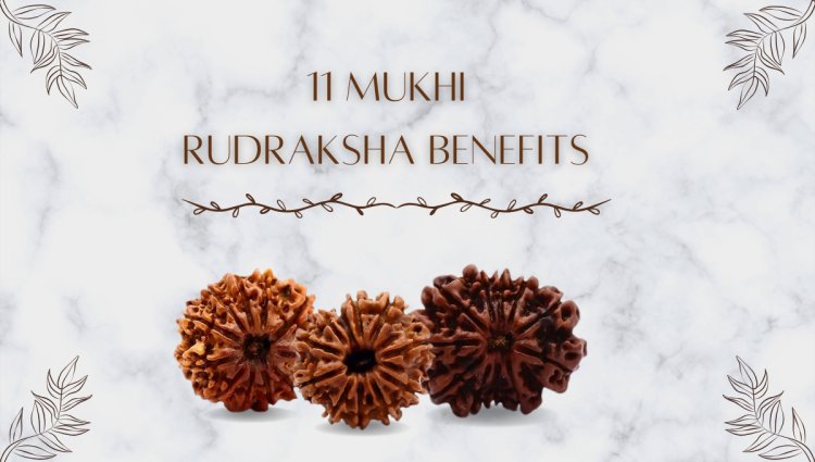 Buy 11 Mukhi Rudraksha Online at Best Price