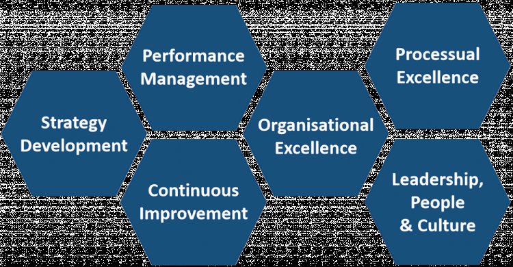 Grab best Operational Excellence consultant Services in India