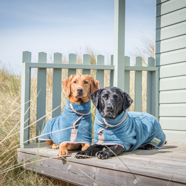 Are Dog Drying Coats Really Helpful for Your Pup?