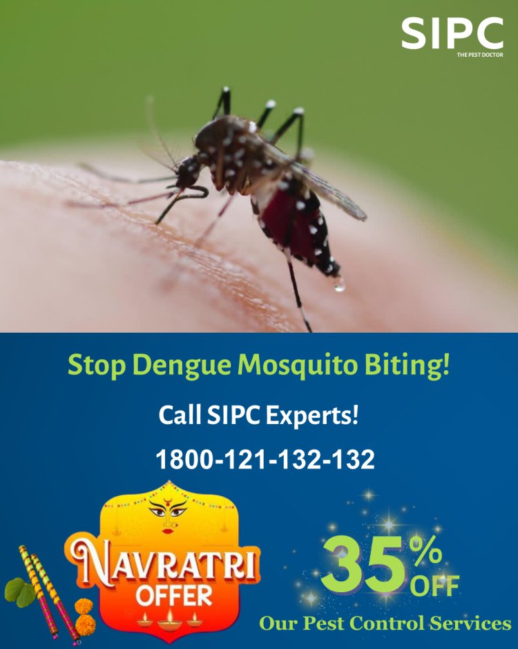 Mosquito Control Services in Delhi