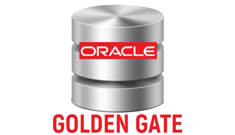 Best oracle Golden Gate Training Institute Certification From India