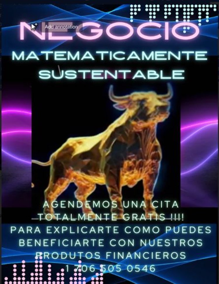 NEGOCIO (MATEMATICAMENTE SUSTENTABLE) Mathematically Sustainable