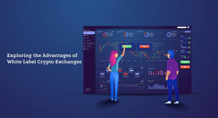 Exploring the Advantages of White-Label Crypto Exchanges