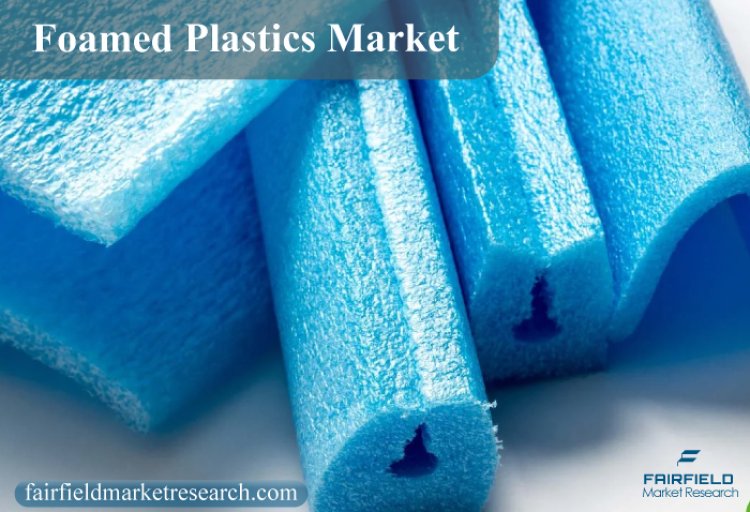 Foamed Plastics Market Size, Status, Global Outlook and Forecast 2022-2030