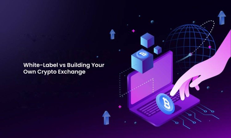 White-Label vs Building Your Own Crypto Exchange