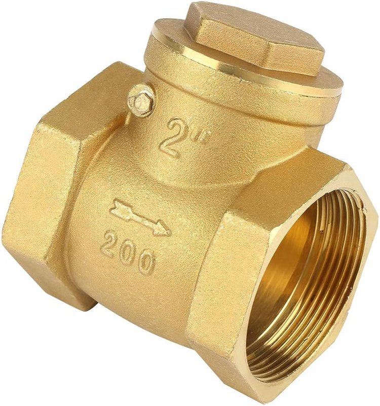 Hastelloy Check Valve Supplier in Ecuador