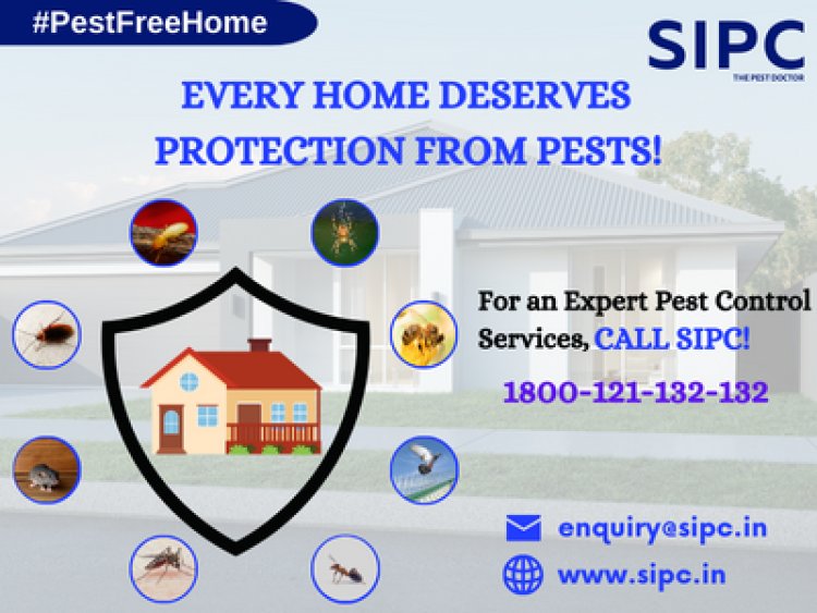 Pest Control Services in Chennai