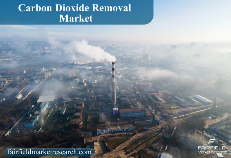 Carbon Dioxide Removal Market Size, Status, Global Outlook and Forecast 2022-2030