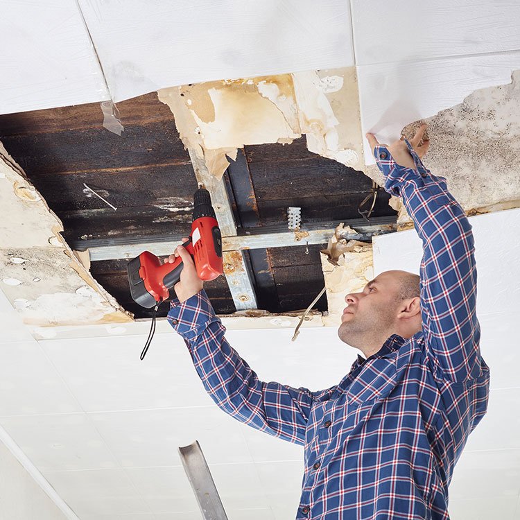 Criterias to Consider before you hire a professional damage restoration company