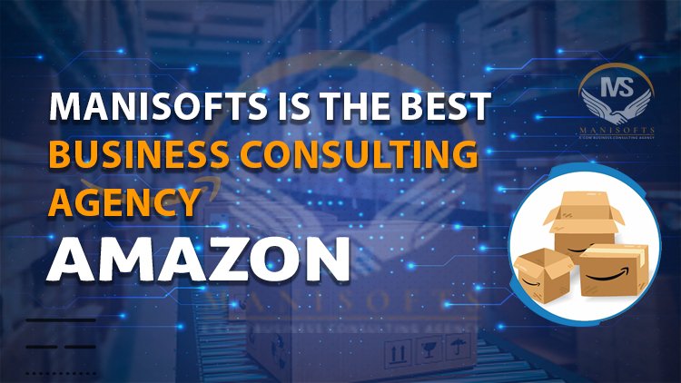Amazon Consulting Agency for USA