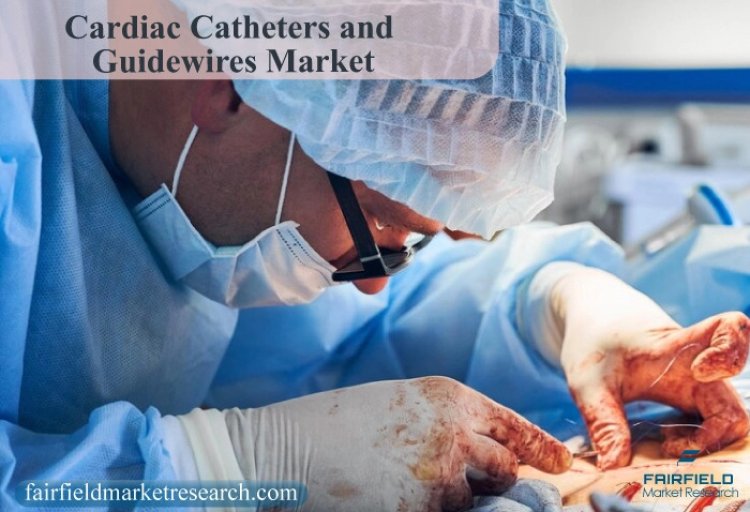 Cardiac Catheters and Guidewires Market Share, Regional Developments and Top Vendors Analysis 2030