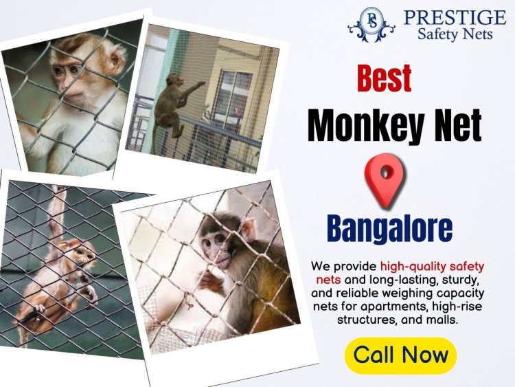 Monkey Net for Balcony in Bangalore