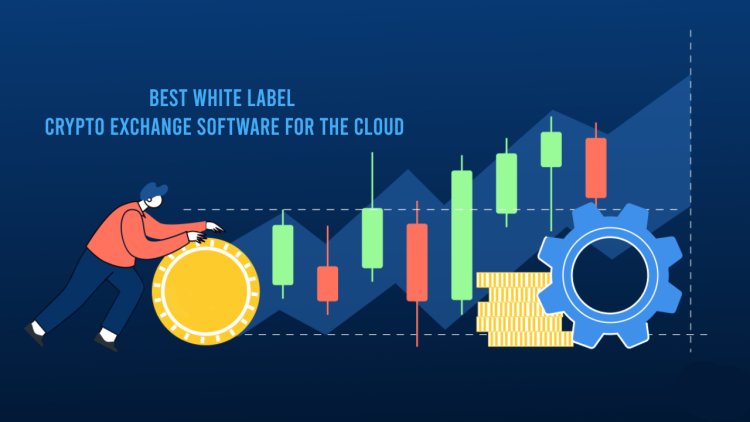 A Comprehensive Guide to Choosing the Best White Label Crypto Exchange Software for the Cloud