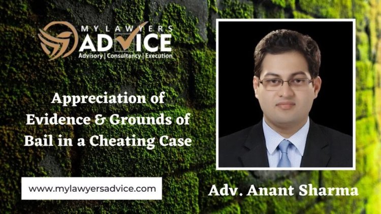 Legal Advice on Appreciation of Evidence, Criminal Defenses & Grounds of Bail in a Cheating Case