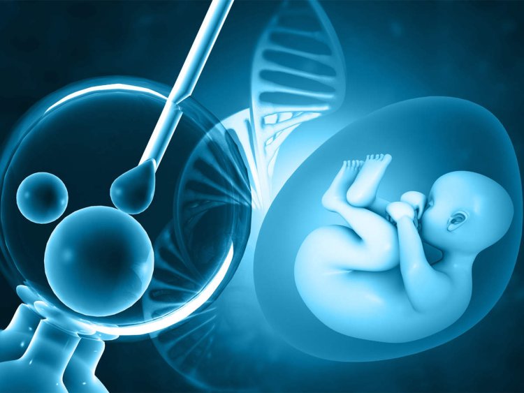 In Vitro Fertilization Services Market Size - Global Industry, Share, Analysis, Trends and Forecast 2022 - 2030
