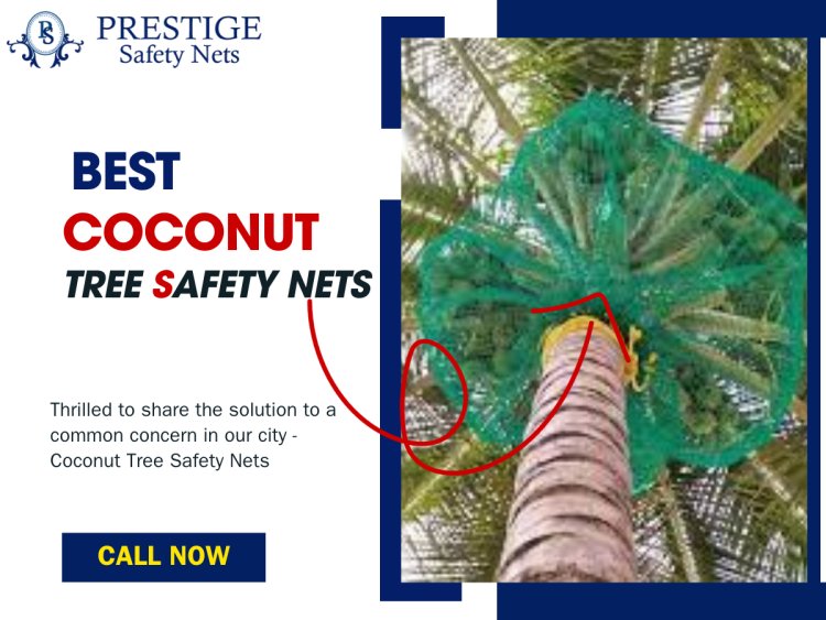 Coconut Tree Safety Nets in Bangalore
