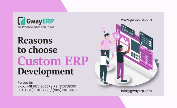 16 Reasons To Choose Custom ERP software Development