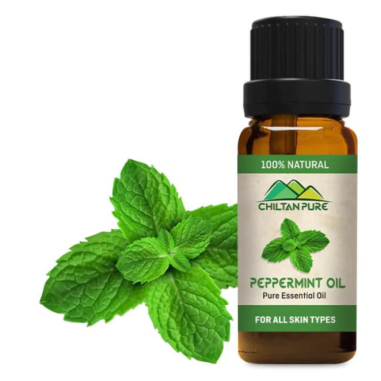 Get Latest List of Menthol Oil Manufacturer in India