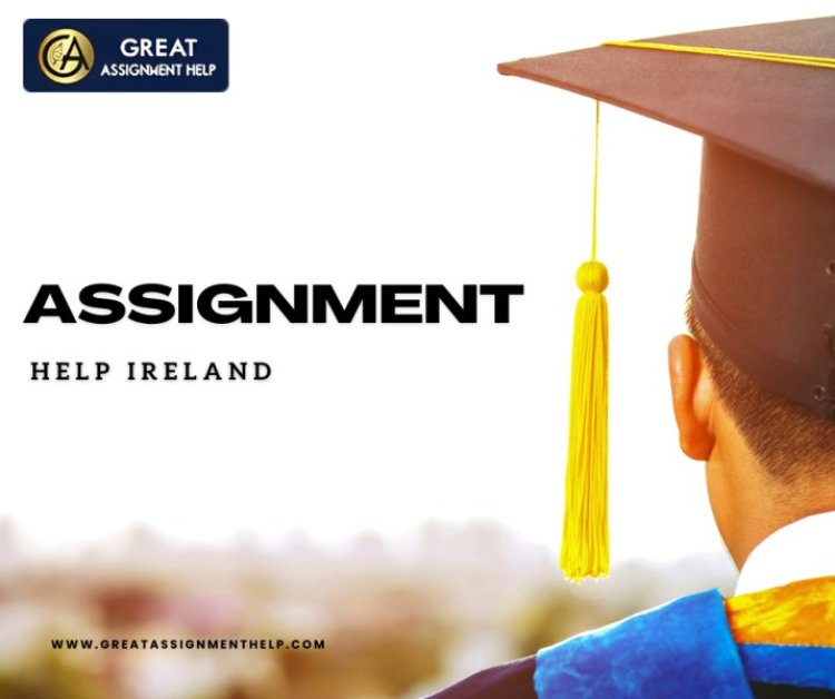 How Assignment Help Transforms Students In Ireland