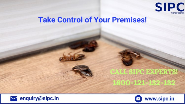 Cockroach Control Services in Goa