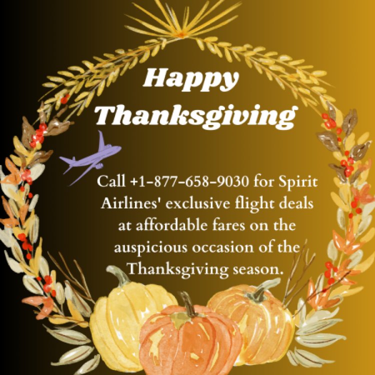 Giving Thanks at 30,000 Feet: Spirit's Thanksgiving Deals at +1-877-658-9030