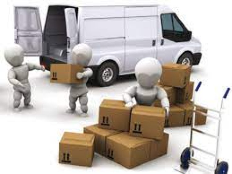 Pro Movers and Packers In Sharjah