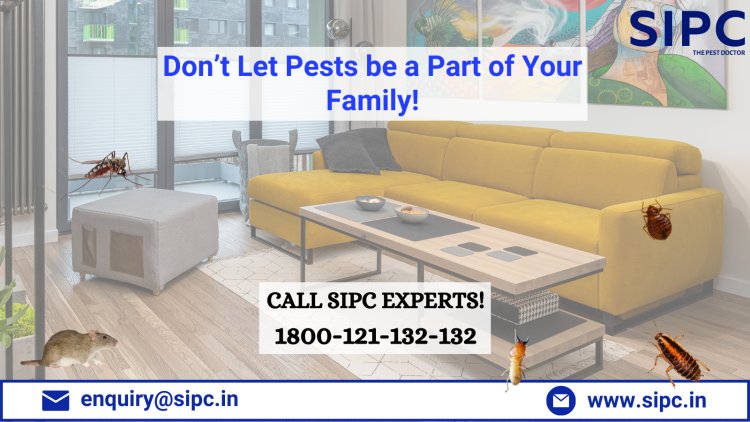 Cockroach Pest Control in Cochin