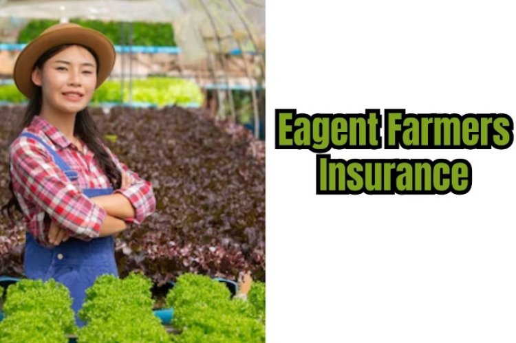 Revolutionizing Insurance with Eagent Farmers: A World Finance Perspective
