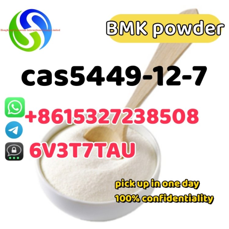 New BMK Glycidic Acid (sodium salt) CAS 5449-12-7 used in Pharmaceutical Industry
