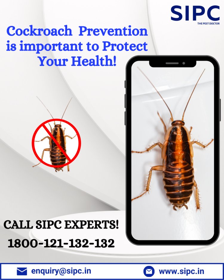 Cockroach Control in Hyderabad