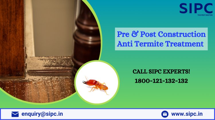 Anti Termite Treatment in Goa