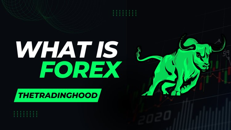 What is Forex? A Beginner’s Guide