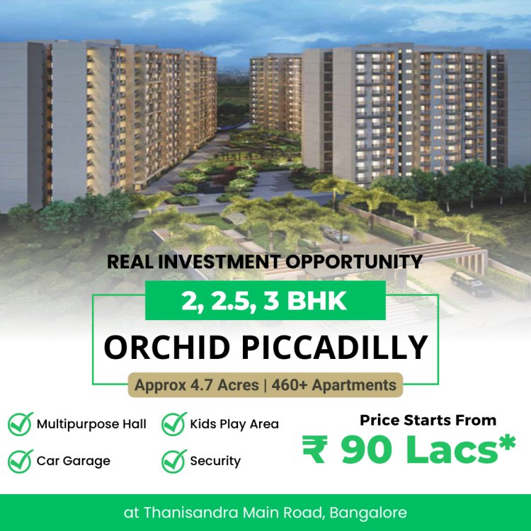 Orchid Piccadilly: Where Comfort Meets Contemporary Design