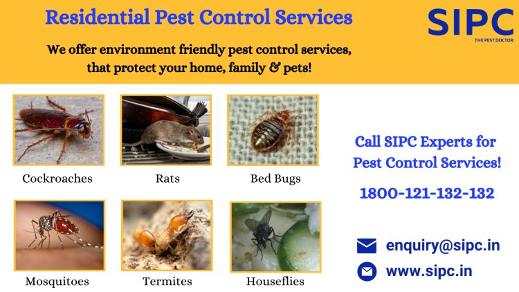 Best Pest Control in Goa