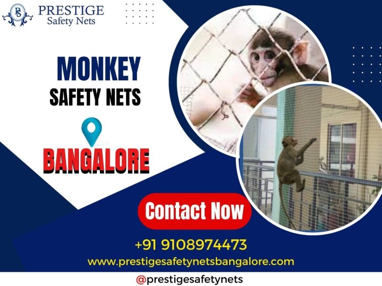 Prestige Safety Nets - Ensuring Monkey Safety in Bangalore