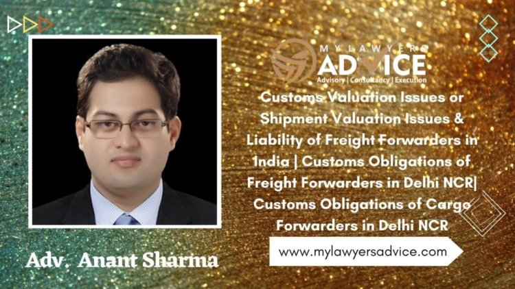 Customs Obligations of Freight Forwarders in Delhi NCR