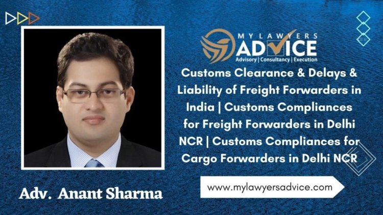 Customs Clearance & Delays & Liability of Freight Forwarders in India