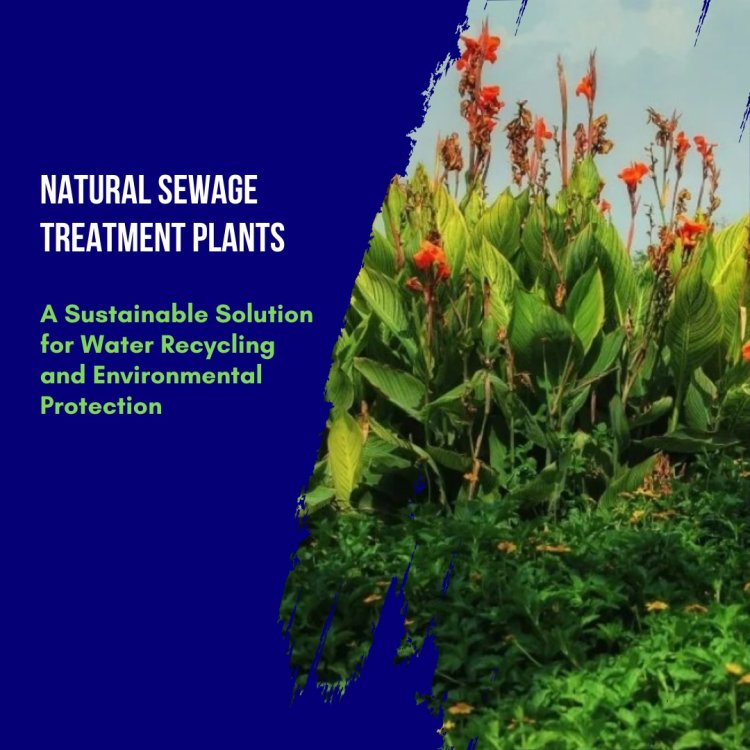 Natural Sewage Treatment Plants: A Sustainable Solution for Water Recycling and Environmental Protection
