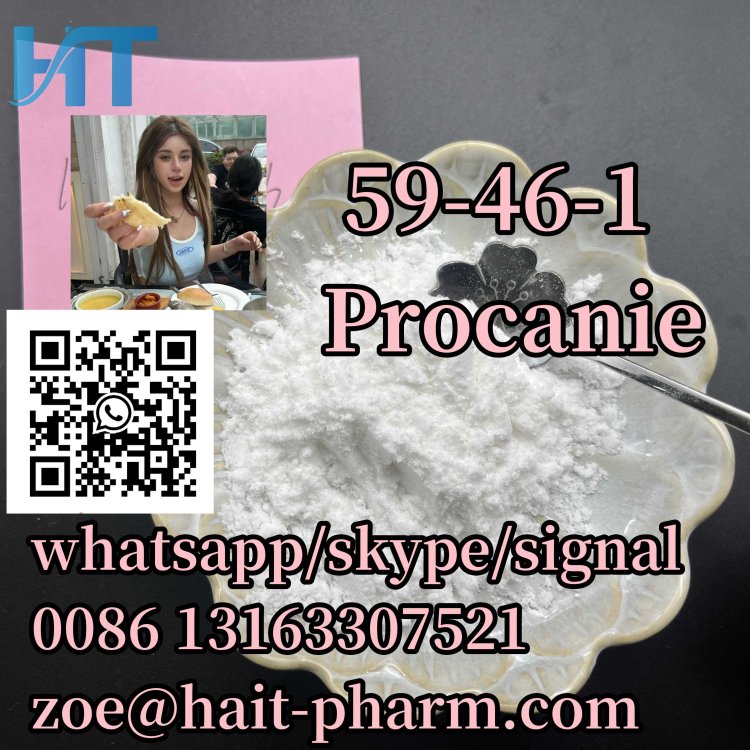 High yeild Procaine Powder Cas 59-46-1 at best price whatsapp+86 13163307521