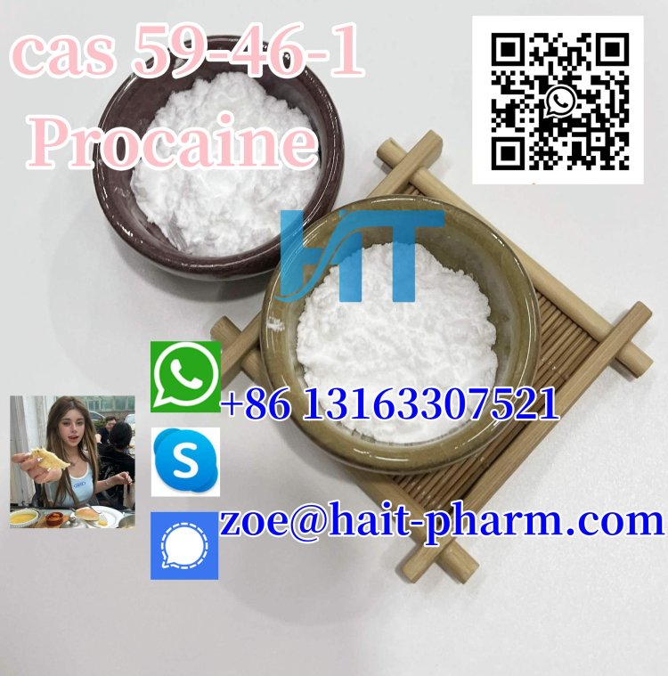 CAS 59-46-1 High quality Procaine powder from professional supplier whatsapp +8613163307521