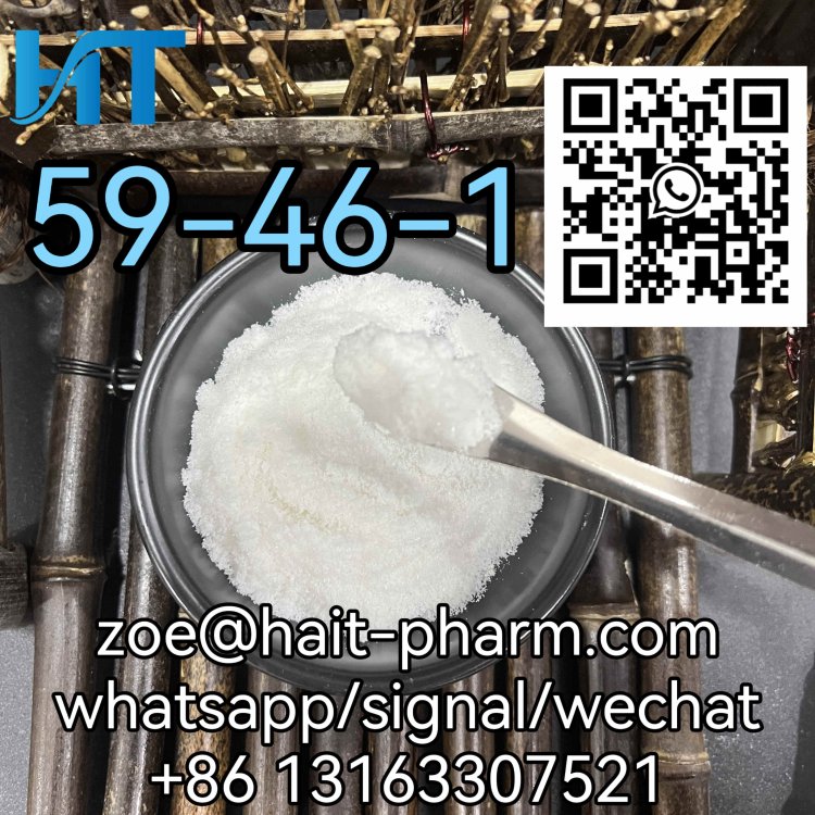 CAS 59-46-1 High quality Procaine powder from professional supplier whatsapp +8613163307521