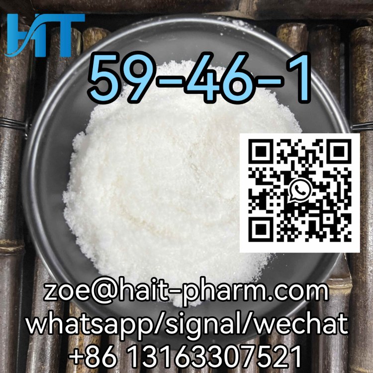 CAS 59-46-1 High quality Procaine powder from professional supplier whatsapp +8613163307521